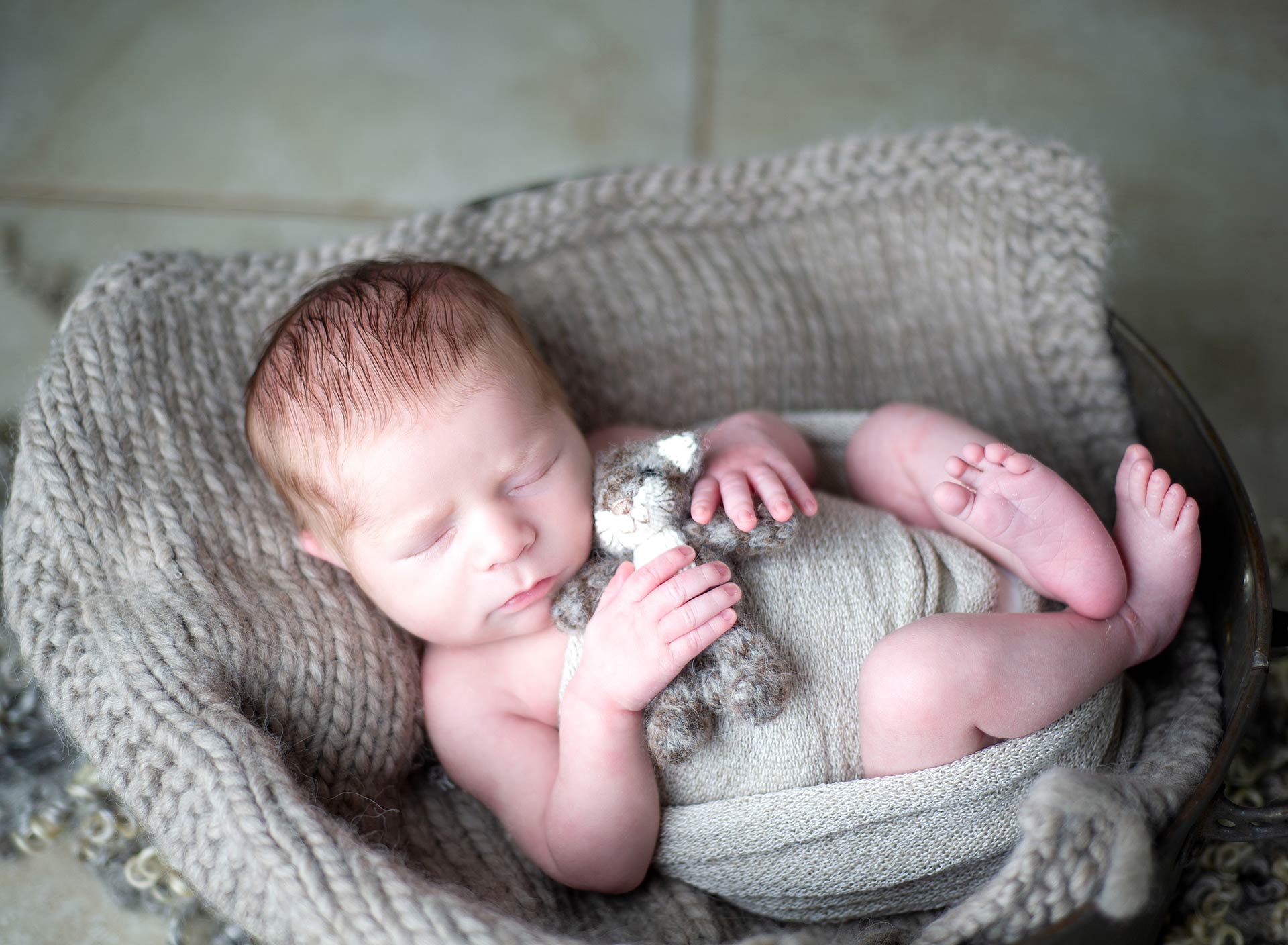 baltimore newborn boy sleeping holing kitty by angela singleton photography