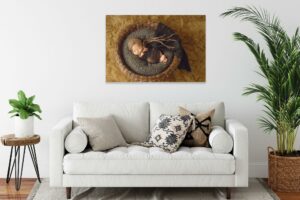 baby wrapped in a basket of picture wall art by angela singleton photography
